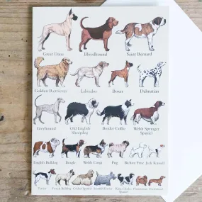 Popular Breeds of Dog - Greeting Card